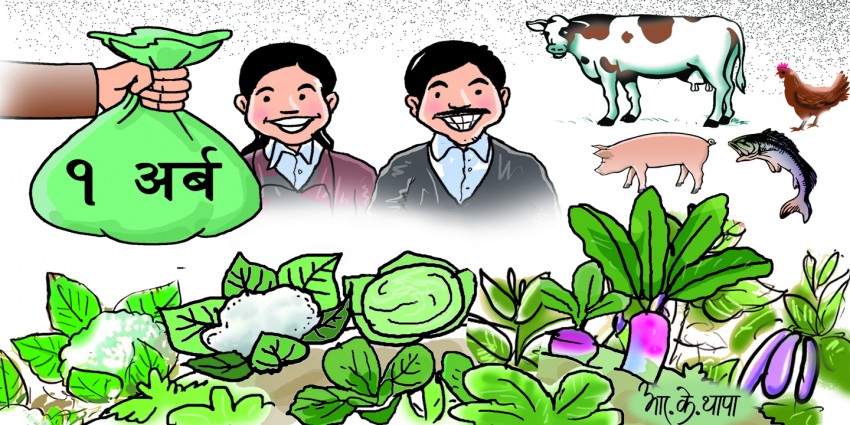 कृषिमा एक अर्बको युवा विशेष कार्यक्रम