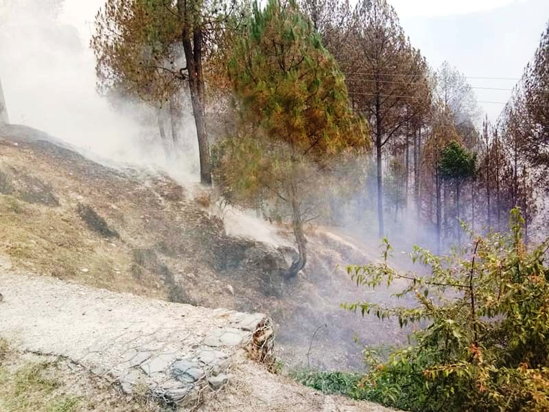 सल्यानमा आगो निभाउन जाँदा एक जनाको मृत्यु , एक घाइते