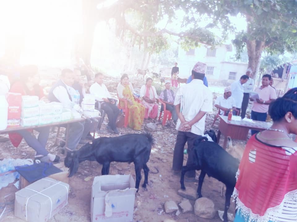 लेकवेशीमा पशुचौपायाको स्वास्थ्य परिक्षण गरियो
