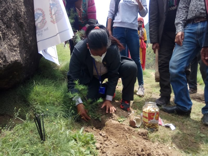 भुक्षयको जोखिम कम गर्न जुम्लामा बृक्षारोपन,