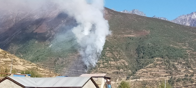 हुम्लाको चेला सामुदायि वनमा  आगलागी