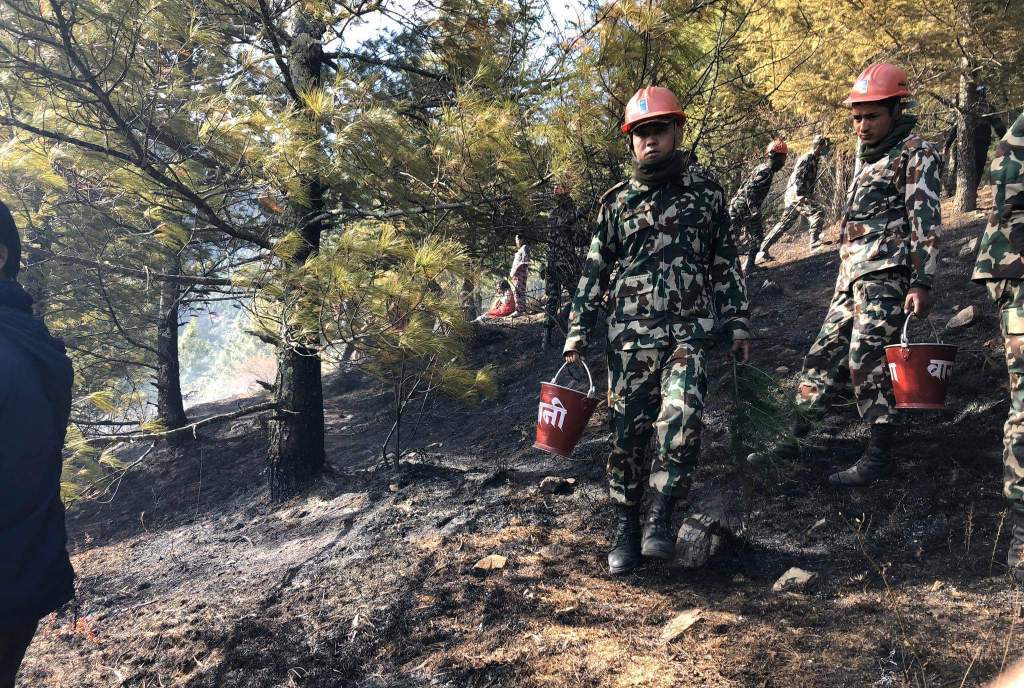 जुम्लाको सिद्धि बिनायक सामुदायिक वनमा आगलागी ।