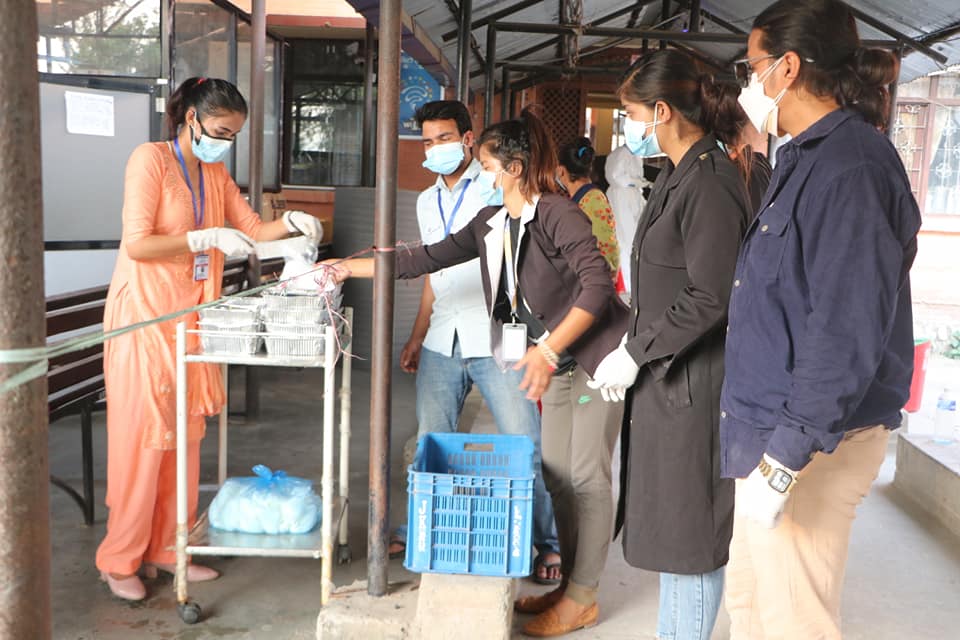 कुरुवालाई निःशुल्क खाना, खाना खुवाउन युवाहरुको संक्रियता