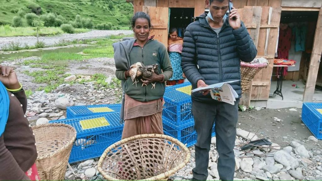 जुम्लाका विपन्न वर्गलाई कुखुरा र लैकाटका चल्ला सहयोग