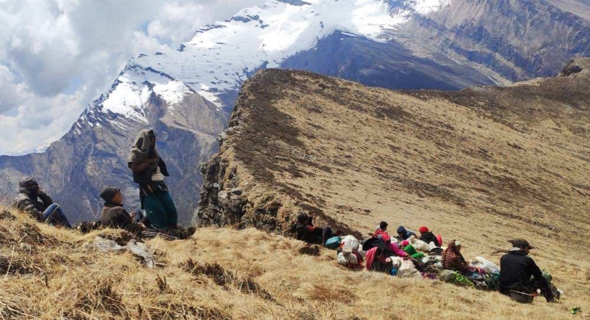 यसरी टिप्छन्‌ कर्णालीमा सुन