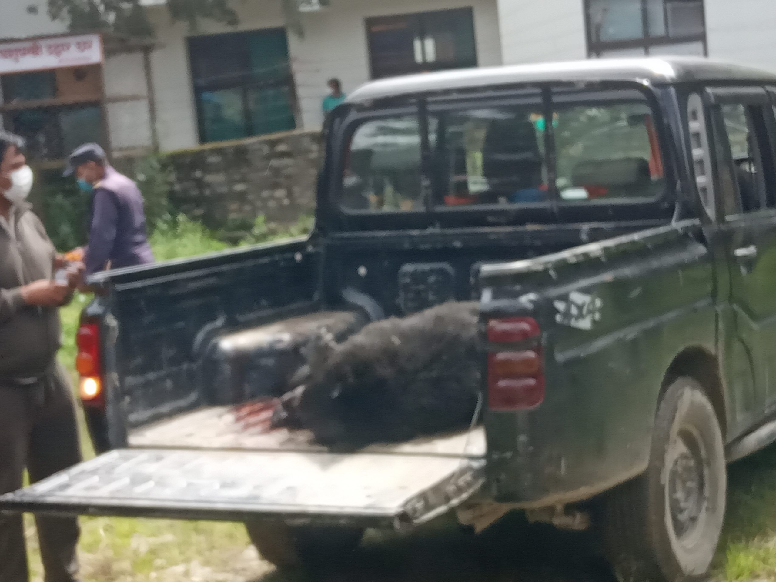 जुम्लामा जंगली जनावर र मानिसबीचको लडाइँ कहिले सम्म