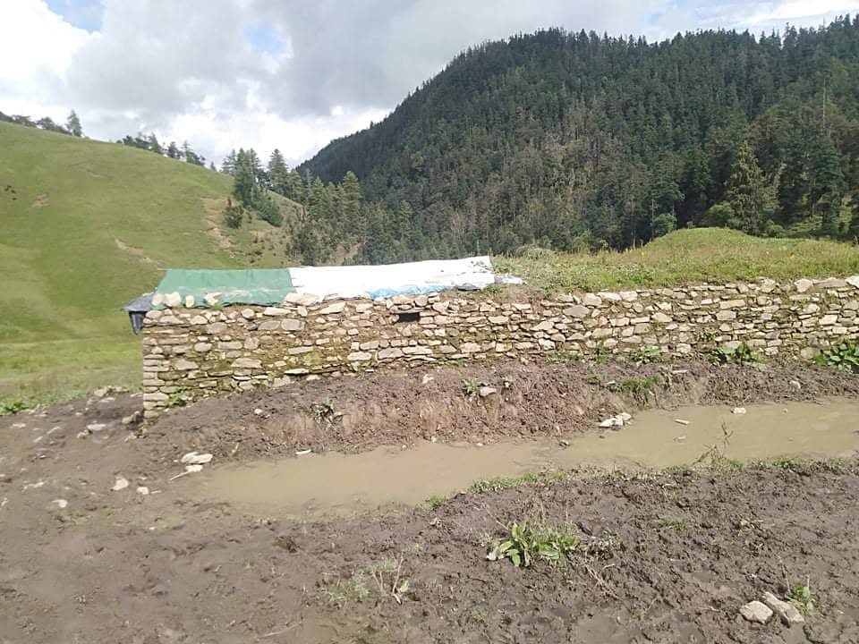 नगरपालिकाले बनाएको ‘भैँसी गोठ’ एक वर्ष नपुग्दै जीर्ण बन्दै