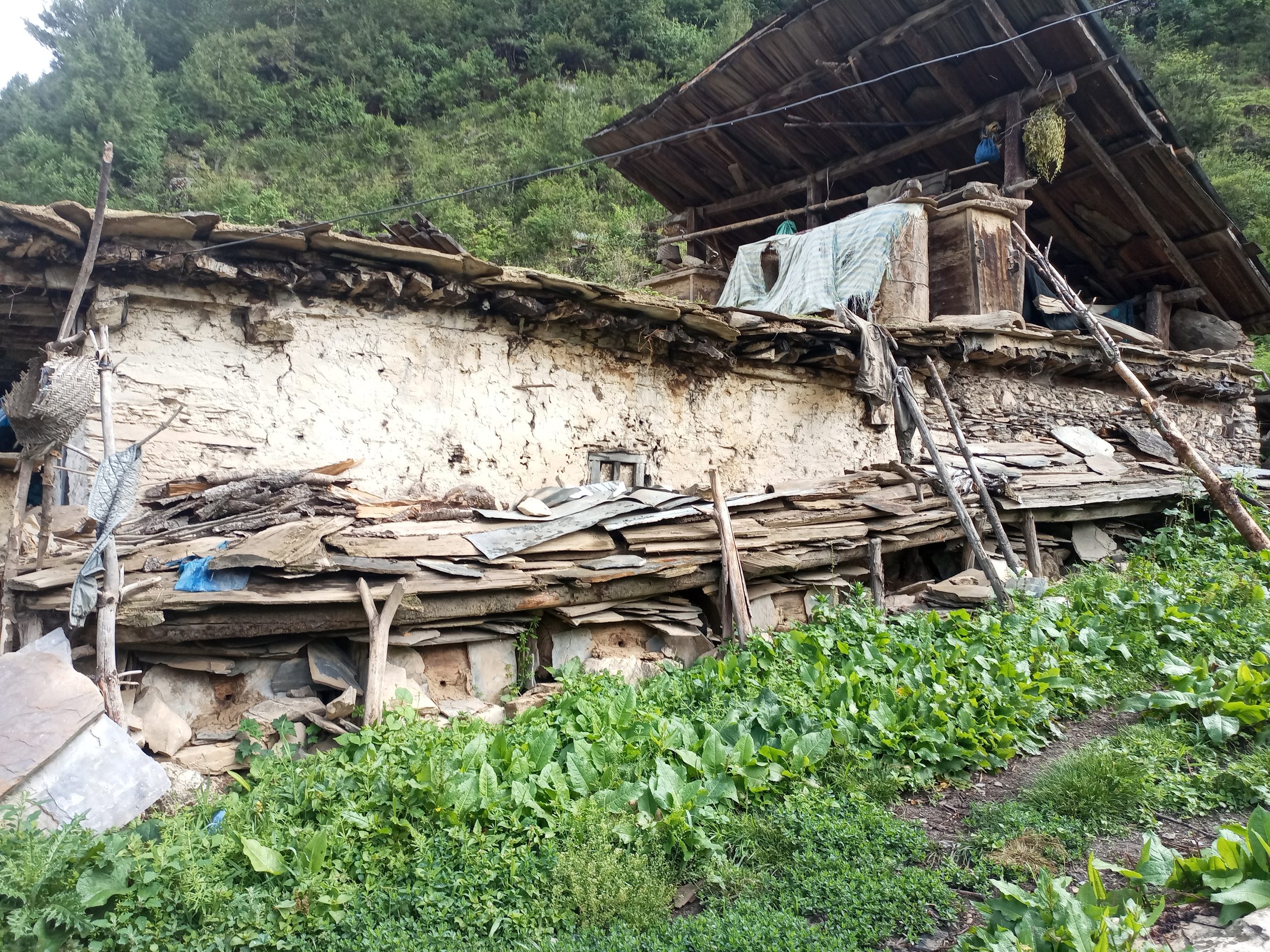 मालिकाबोताका किसान मह बेचेरै वार्षिक एक लाख आम्दानी गर्दै