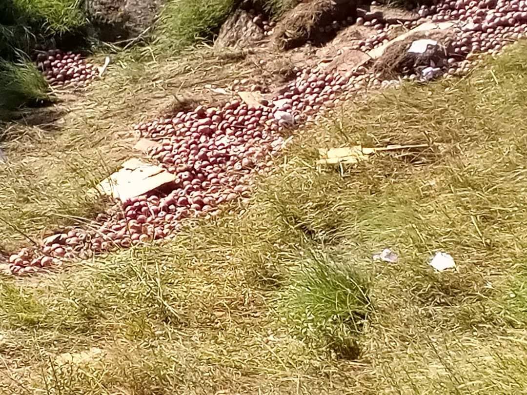 जुम्लामा स्याउ बोकेको मालबाहक ट्रक दुर्घटना, एकको मृत्यू , एक घाईते