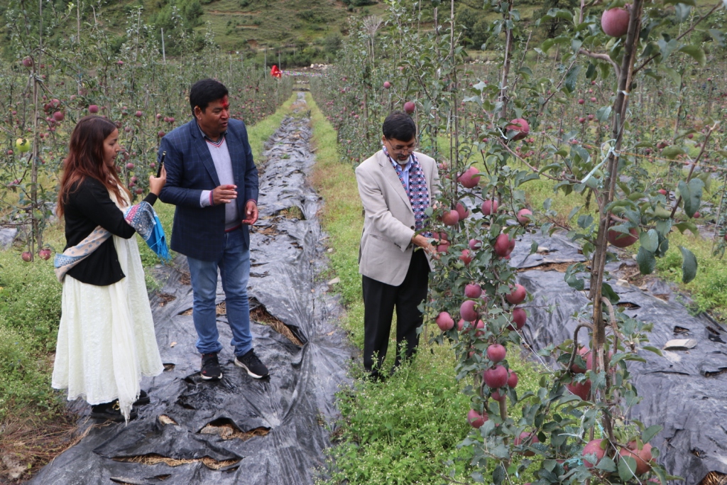 एक वर्षमा पाँच सय स्याउका बिरुवा रोप्नुहोस सरकार सहयोग गर्न तयार छ : अर्थमन्त्री शर्मा