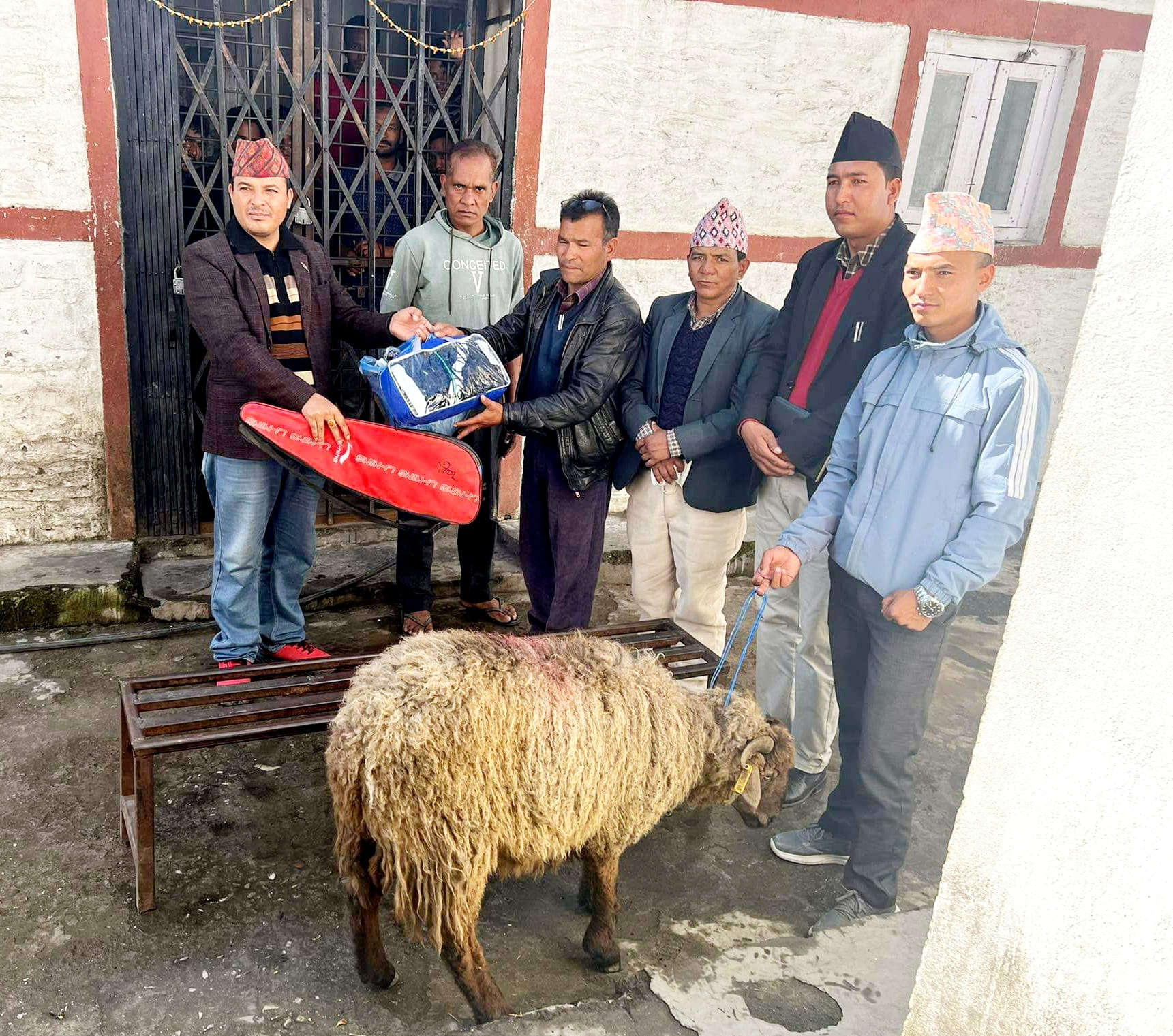 हिमा गाउँपालिकाले दियो, जुम्लाका कैदीबन्दीलाई भेडो उपाहार