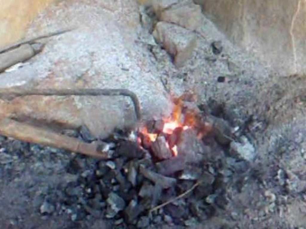 आरन पेशालाई संरक्षण गर्न गुठीचौर ४ मा एक महिने तालिम
