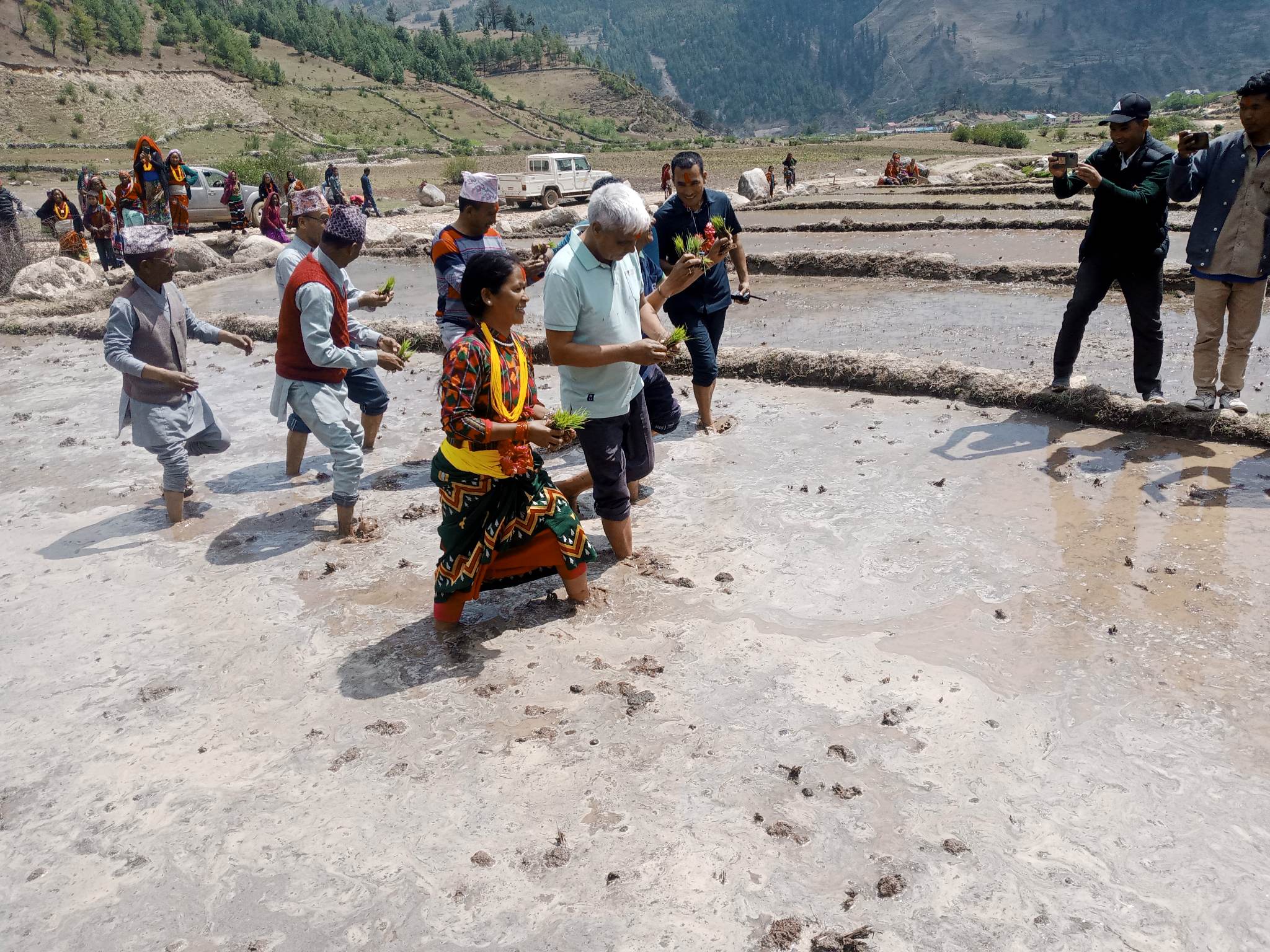 काली मार्सी धान संरक्षणका लागि विश्वकै अग्लो छुमचौर ज्युलोमा रोपाइँ महोत्सव