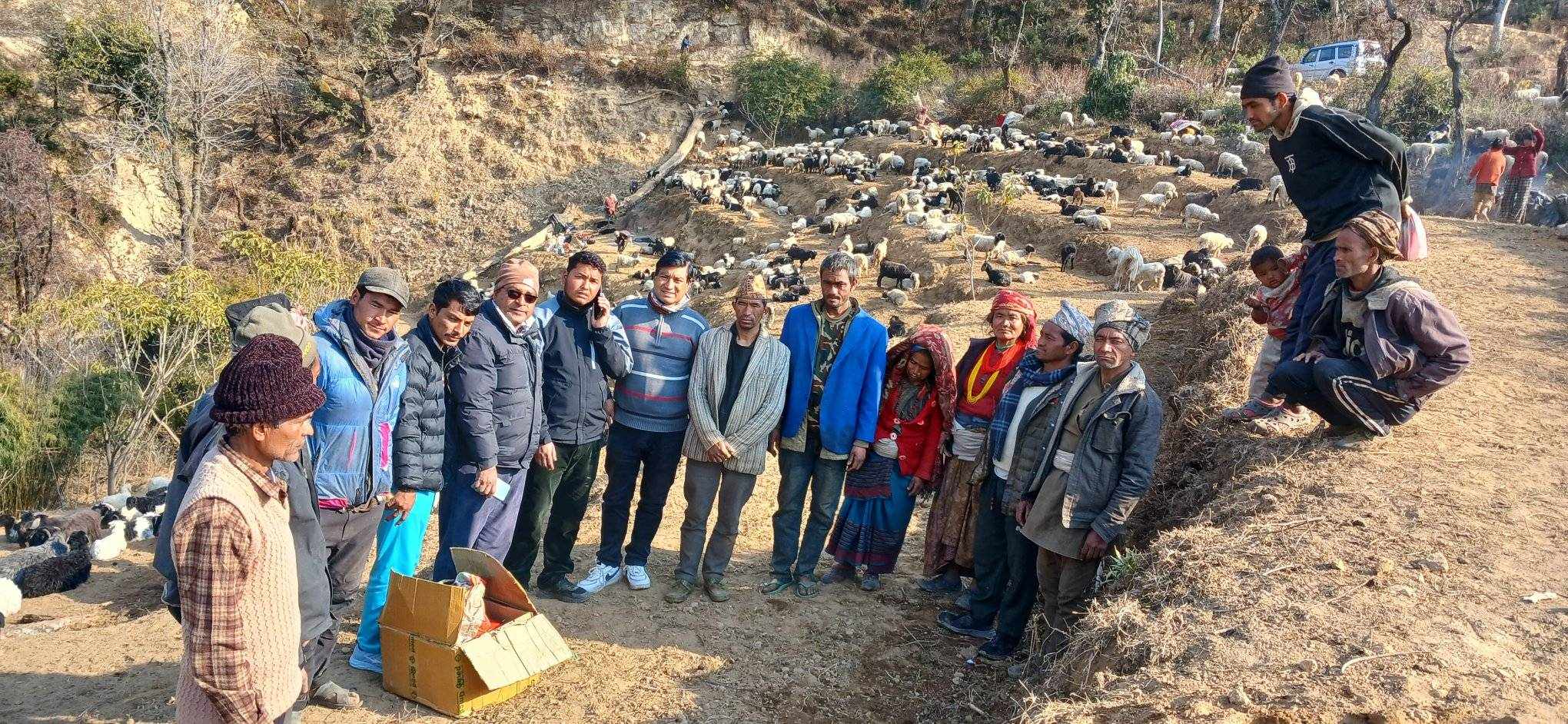 पशुचिकित्सकको टोली  भेडाको नमुना परिक्षण   गरी फर्कियो